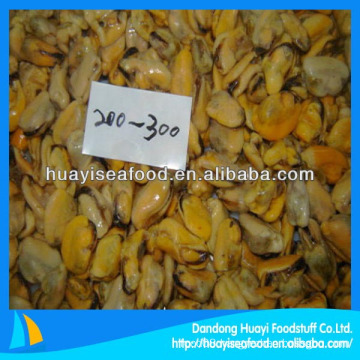 seafood frozen mussel meat for sale